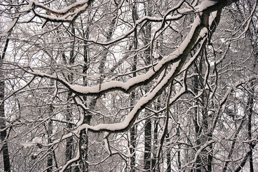 Similar image 21544415