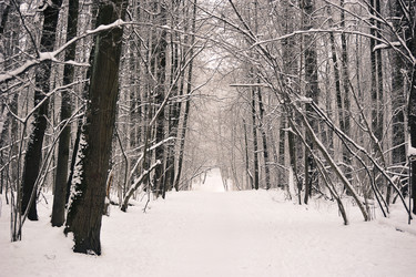 Similar image 21544417