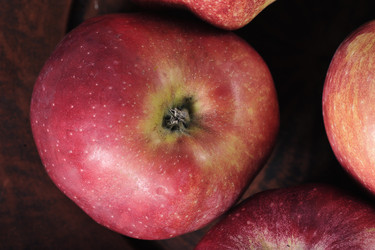 Similar image 21544418