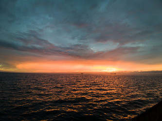 Similar image 21542589