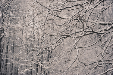 Similar image 21543188