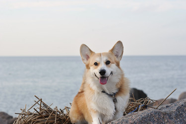 Similar image 21543201