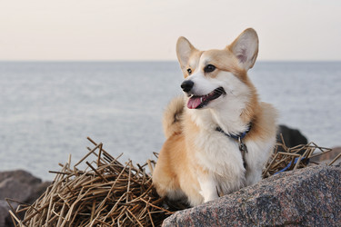 Similar image 21543202