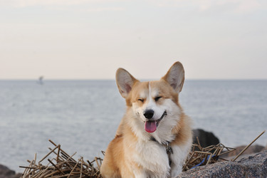 Similar image 21543342