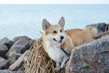 Similar image 21543344