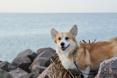 Similar image 21543346