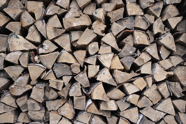 Similar image 21543353