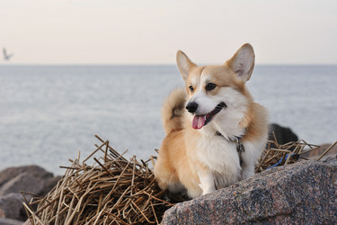 Similar image 21543356