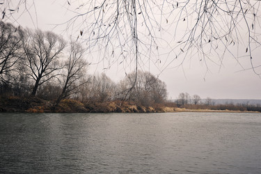 Similar image 21543600