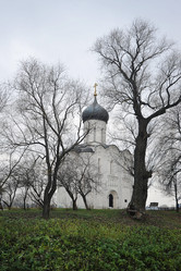 Similar image 21543603