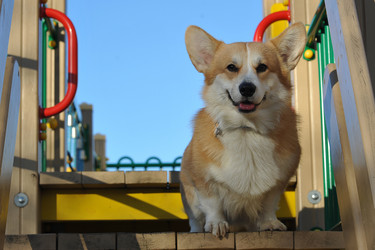 Similar image 21543605