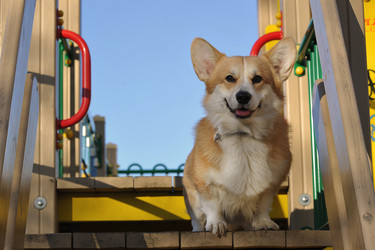 Similar image 21543607