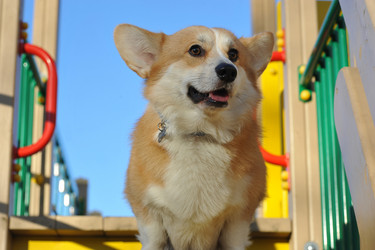 Similar image 21543610