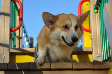 Similar image 21543612