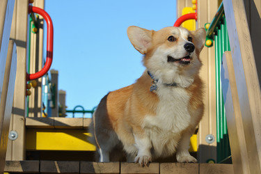 Similar image 21543615