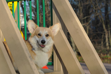 Similar image 21543617