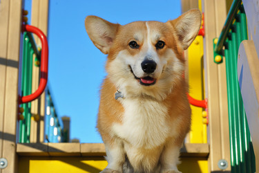 Similar image 21543793