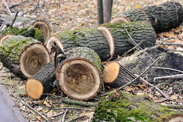 Similar image 21543805