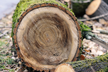 Similar image 21543813