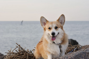 Similar image 21543821