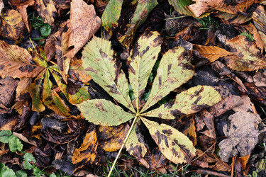 Similar image 21543824