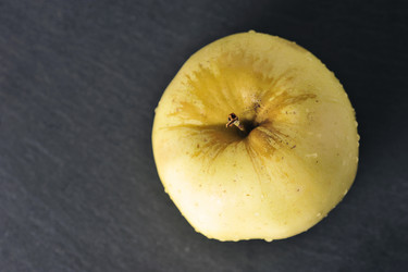 Similar image 21544006