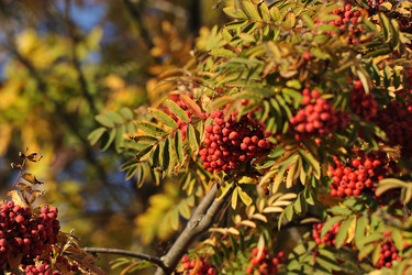 Similar image 21544007