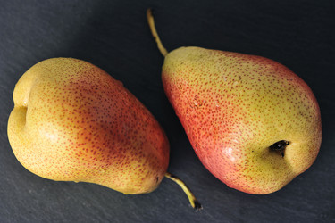 Similar image 21544008