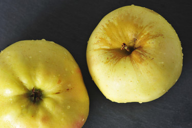 Similar image 21544017