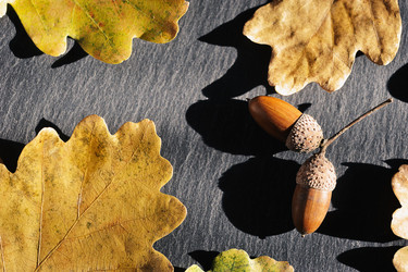 Similar image 21544242