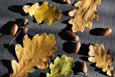 Similar image 21544247