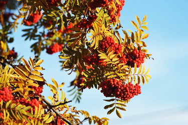 Similar image 21544251