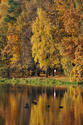 Similar image 21544258