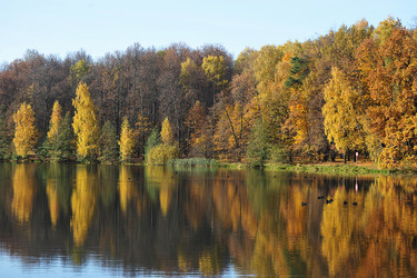 Similar image 21544333