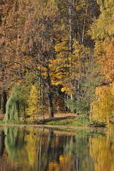 Similar image 21544337