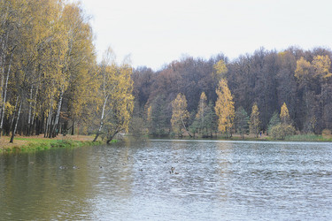 Similar image 21544421