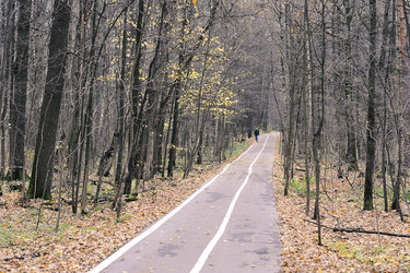 Similar image 21544428