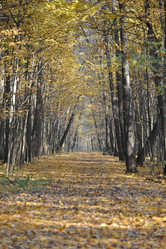 Similar image 21544435