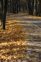 Similar image 21543086