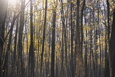 Similar image 21543204