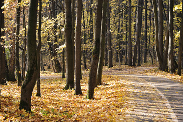 Similar image 21543206