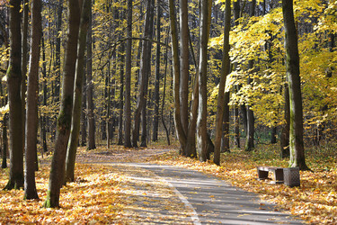 Similar image 21543207