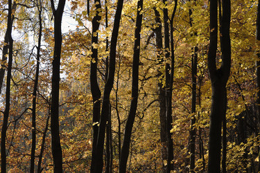 Similar image 21543214