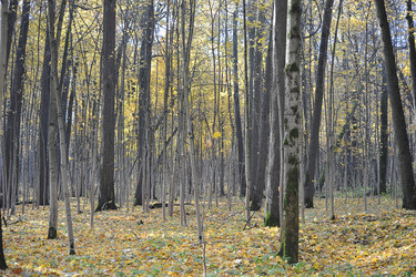 Similar image 21543215