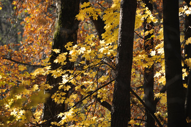 Similar image 21543219