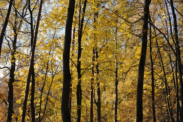 Similar image 21543227