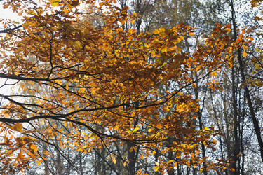 Similar image 21543229