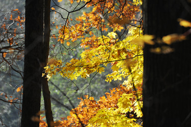 Similar image 21543231