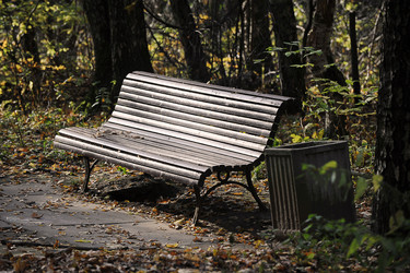 Similar image 21543235