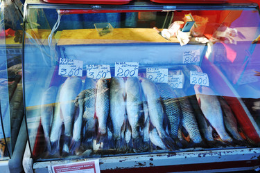 Similar image 21543370